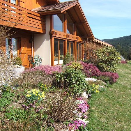 B&B Chalet L'Epinette Gerardmer Exterior photo