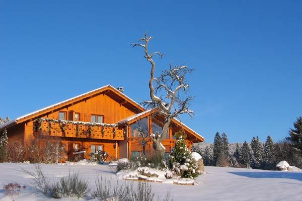 B&B Chalet L'Epinette Gerardmer Exterior photo