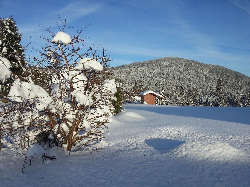 B&B Chalet L'Epinette Gerardmer Exterior photo