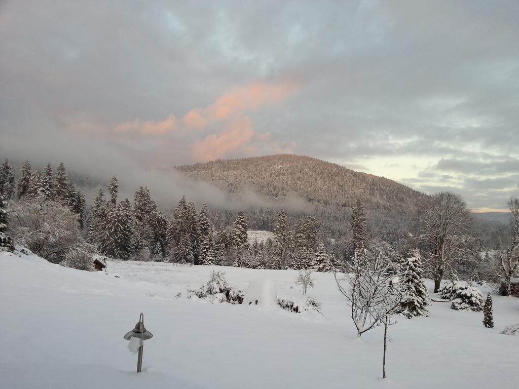 B&B Chalet L'Epinette Gerardmer Exterior photo